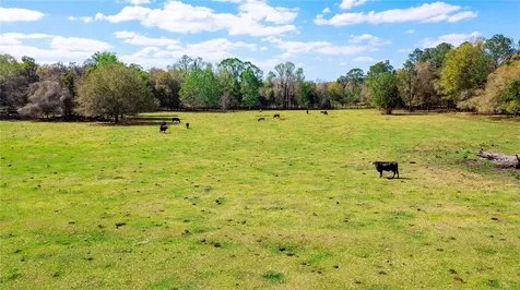 17525 Us Highway 301 Dade City FL 33523
