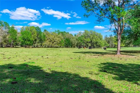 17525 Us Highway 301 Dade City FL 33523