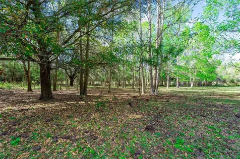 17525 Us Highway 301 Dade City FL 33523