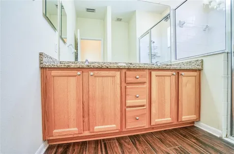528 Laguna Mill Drive Ruskin FL 33570