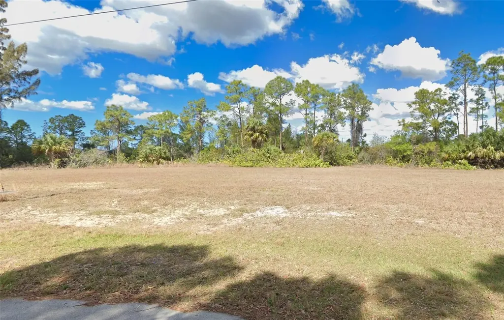 2319 NE 41st Lane Cape Coral FL 33909