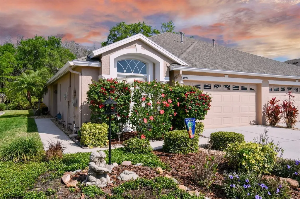 31101 Whitlock Drive Wesley Chapel FL 33543