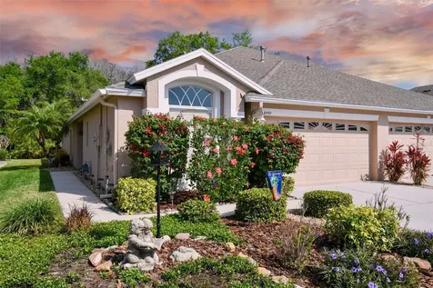 31101 Whitlock Drive Wesley Chapel FL 33543