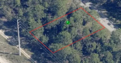 9444 N Cortlandt Drive Citrus Springs FL 34434