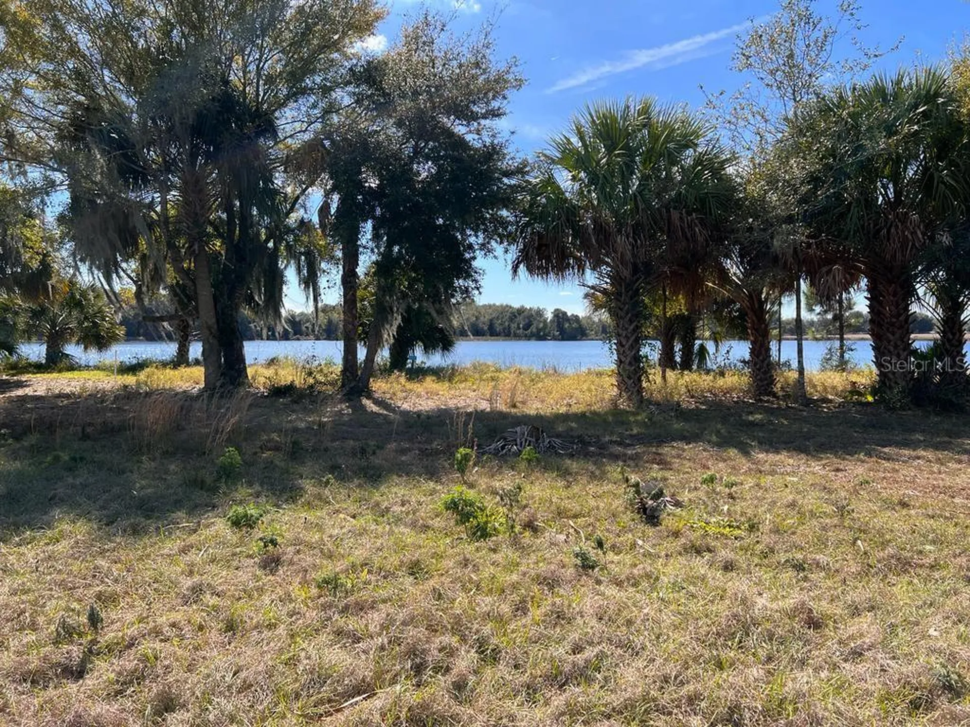 3412 Lake Diane Road #67 Tavares FL 32778