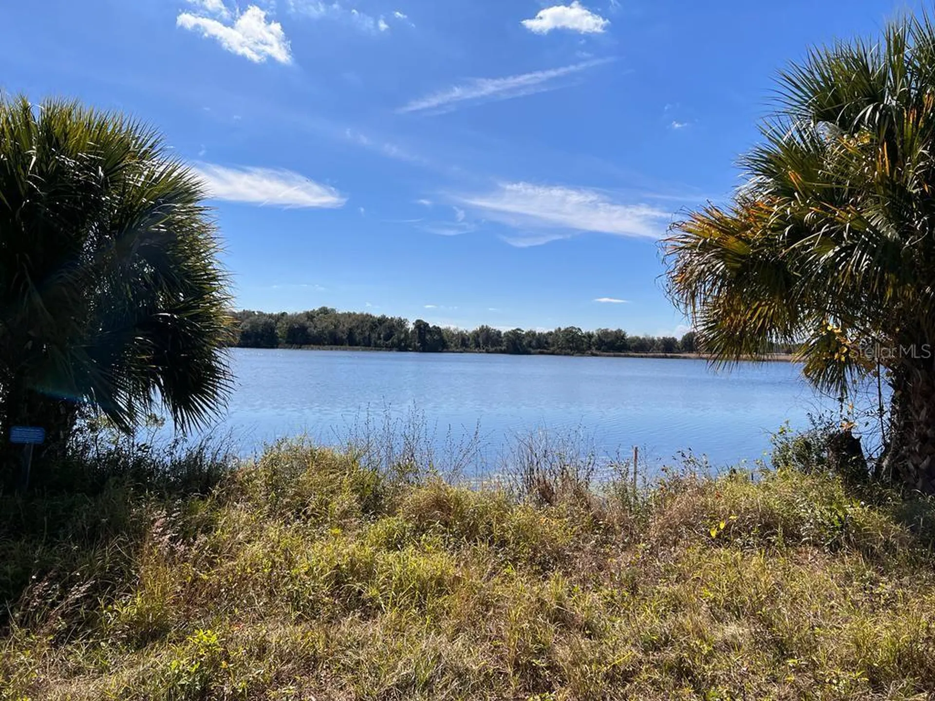 3412 Lake Diane Road #67 Tavares FL 32778