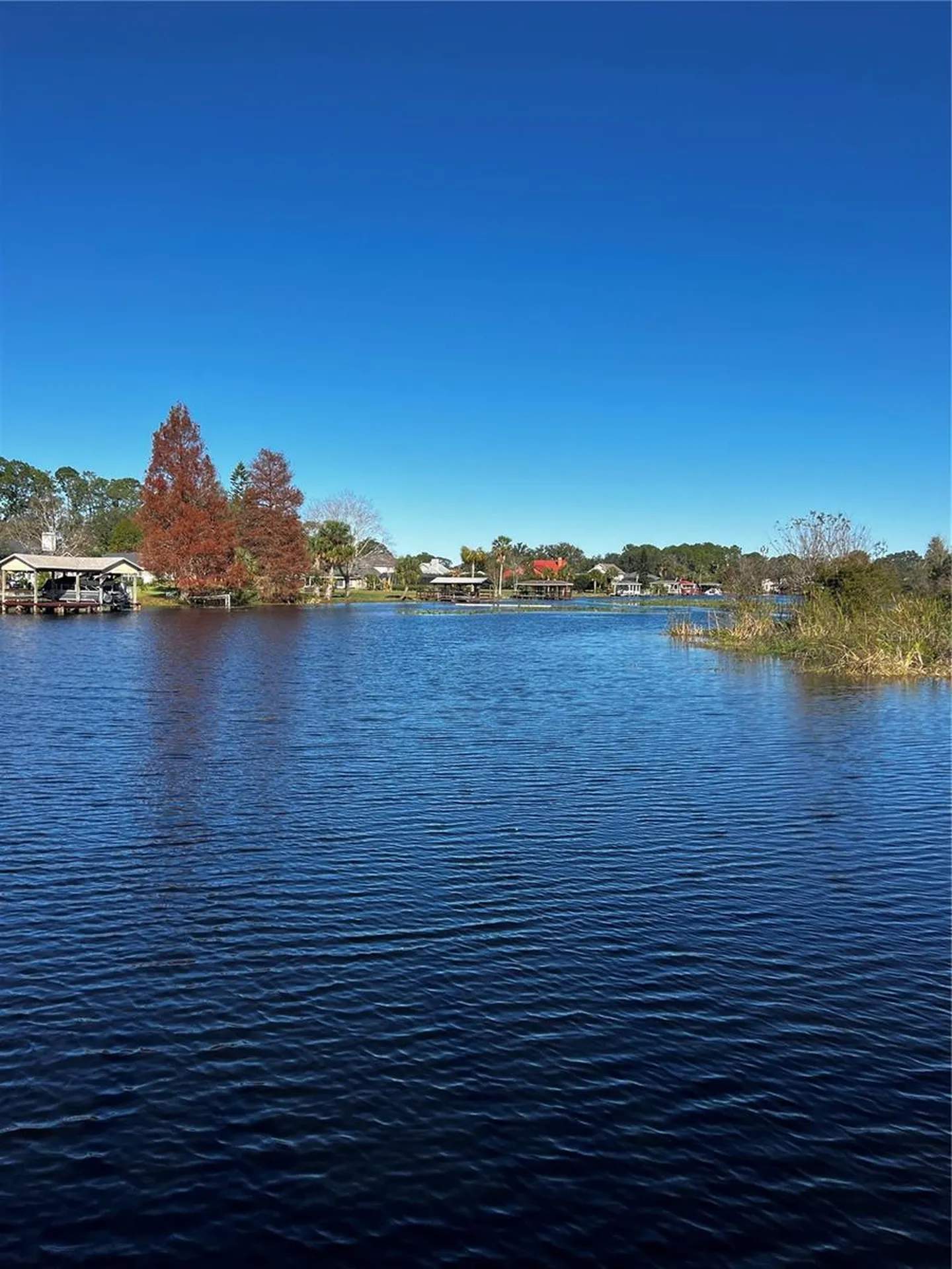 3412 Lake Diane Road #67 Tavares FL 32778