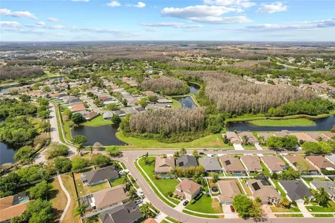 3220 Brenford Place Land O Lakes FL 34638