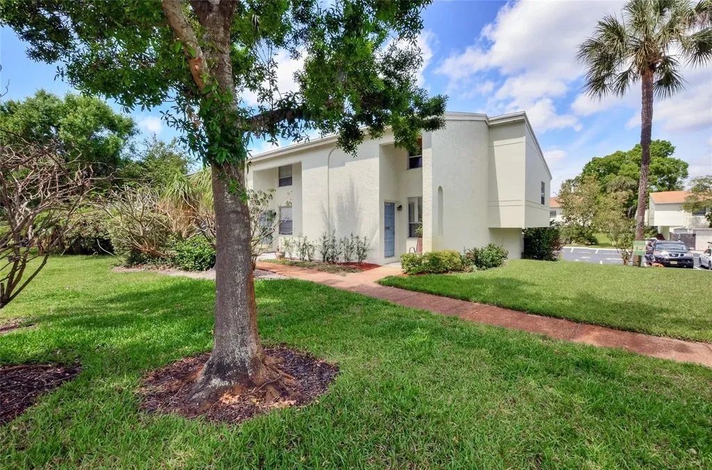 4217 La Palma Court Tampa FL 33611