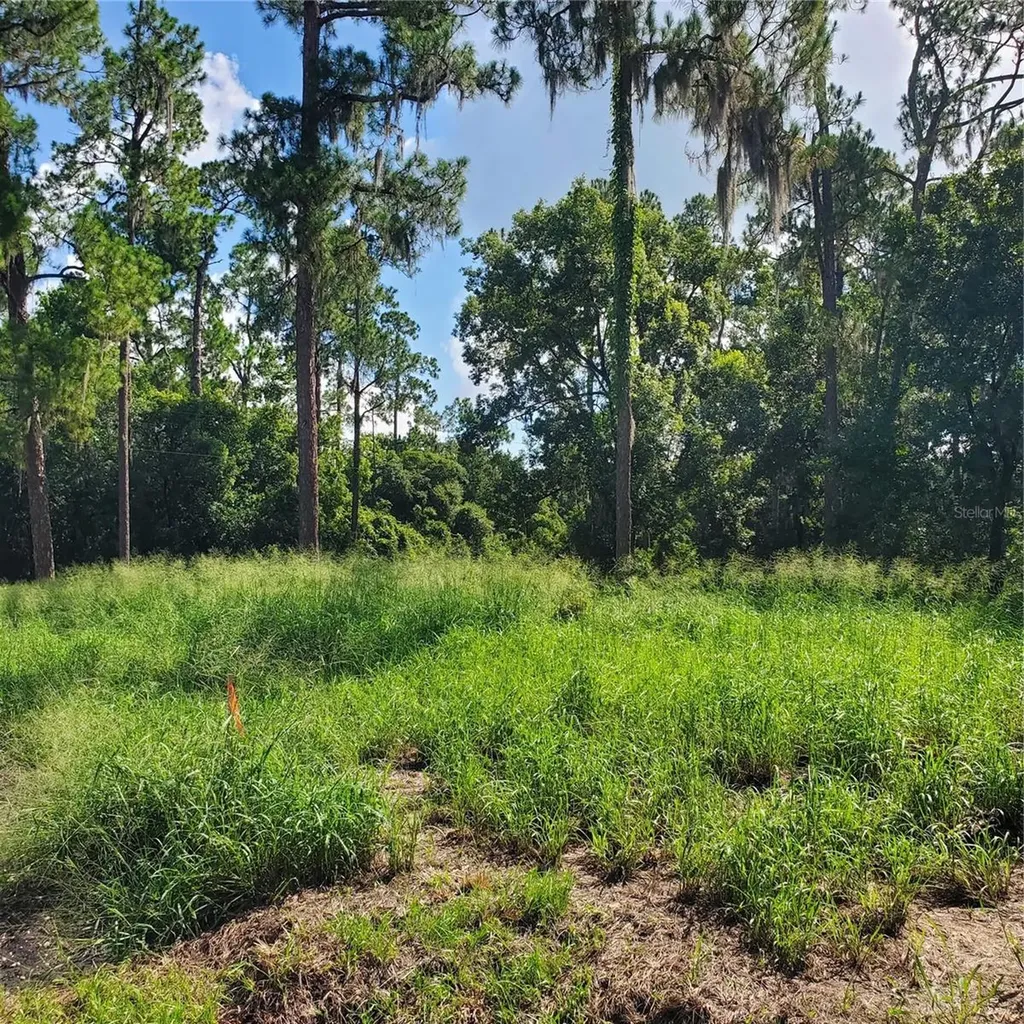 Pollard Road Winter Haven FL 33884