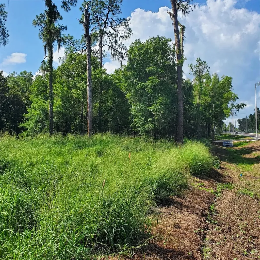 Pollard Road Winter Haven FL 33884