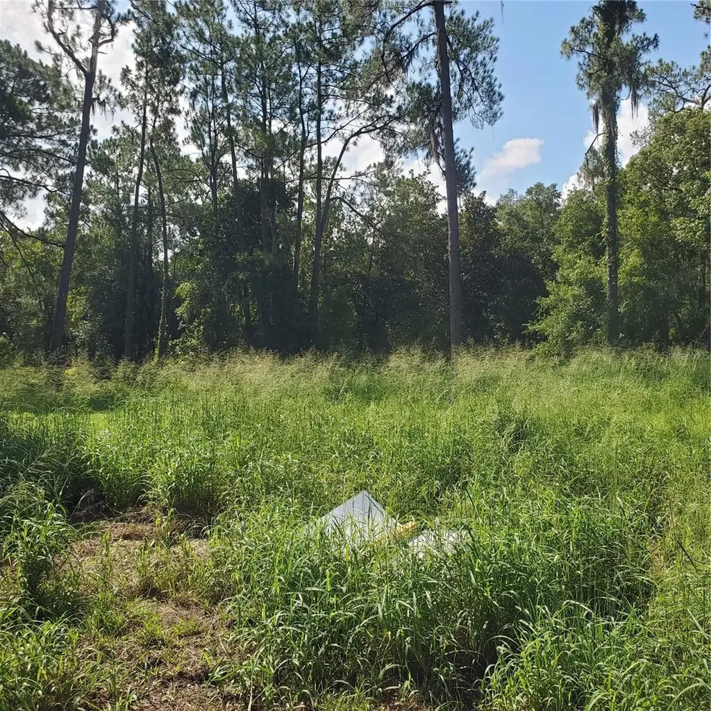 Pollard Road Winter Haven FL 33884