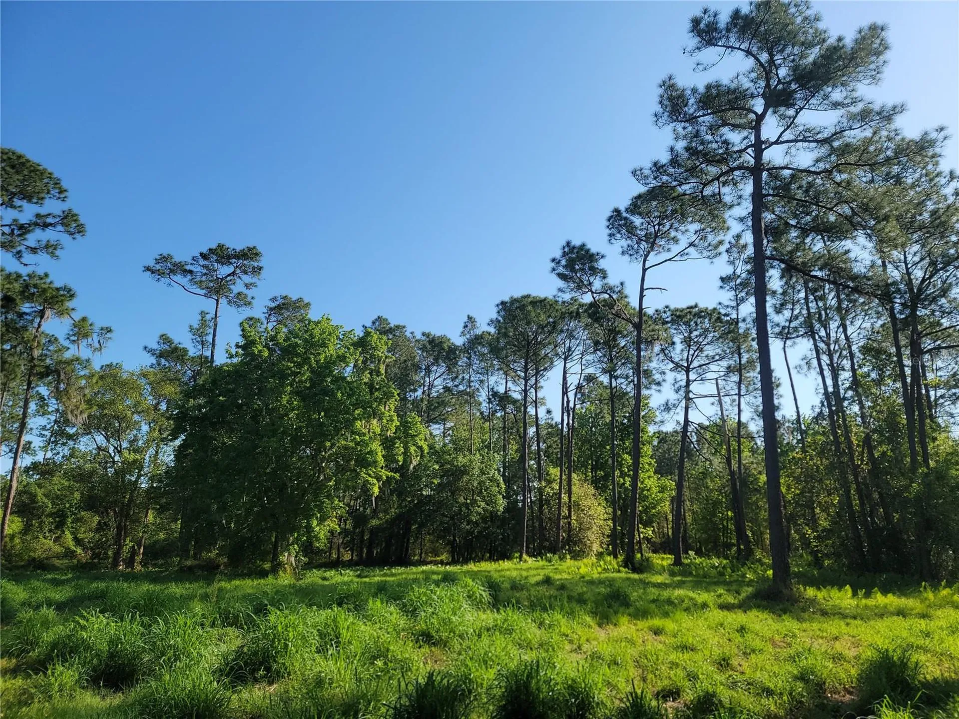 Pollard Road Winter Haven FL 33884
