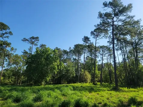 Pollard Road Winter Haven FL 33884