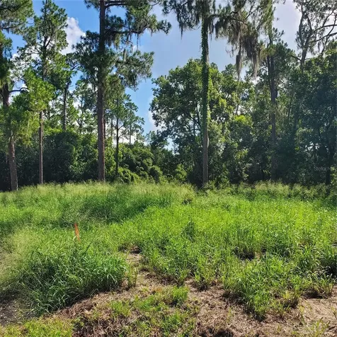 Pollard Road Winter Haven FL 33884