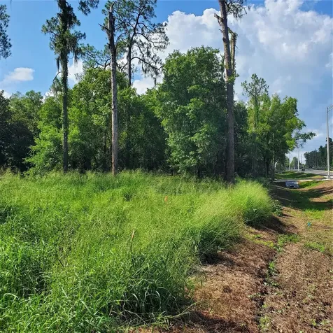 Pollard Road Winter Haven FL 33884