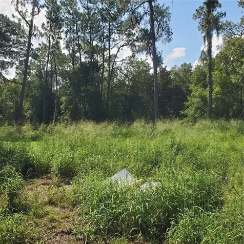 Pollard Road Winter Haven FL 33884