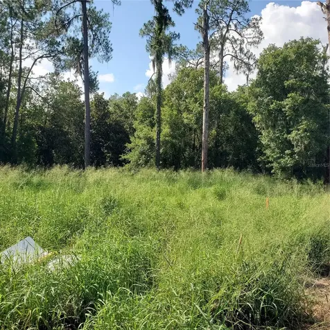 Pollard Road Winter Haven FL 33884