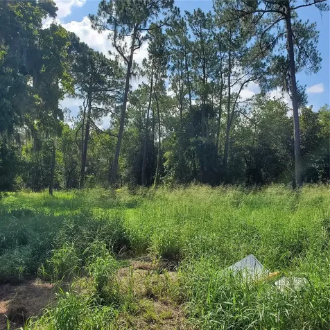Pollard Road Winter Haven FL 33884