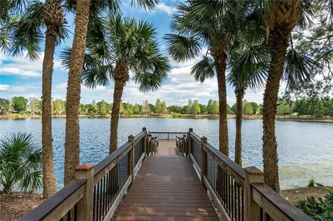 14545 Yellow Butterfly Road Windermere FL 34786