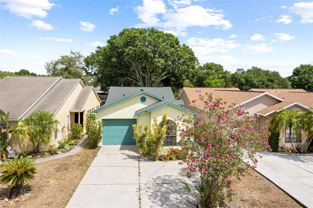 23103 Dover Drive Land O Lakes FL 34639