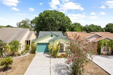 23103 Dover Drive Land O Lakes FL 34639