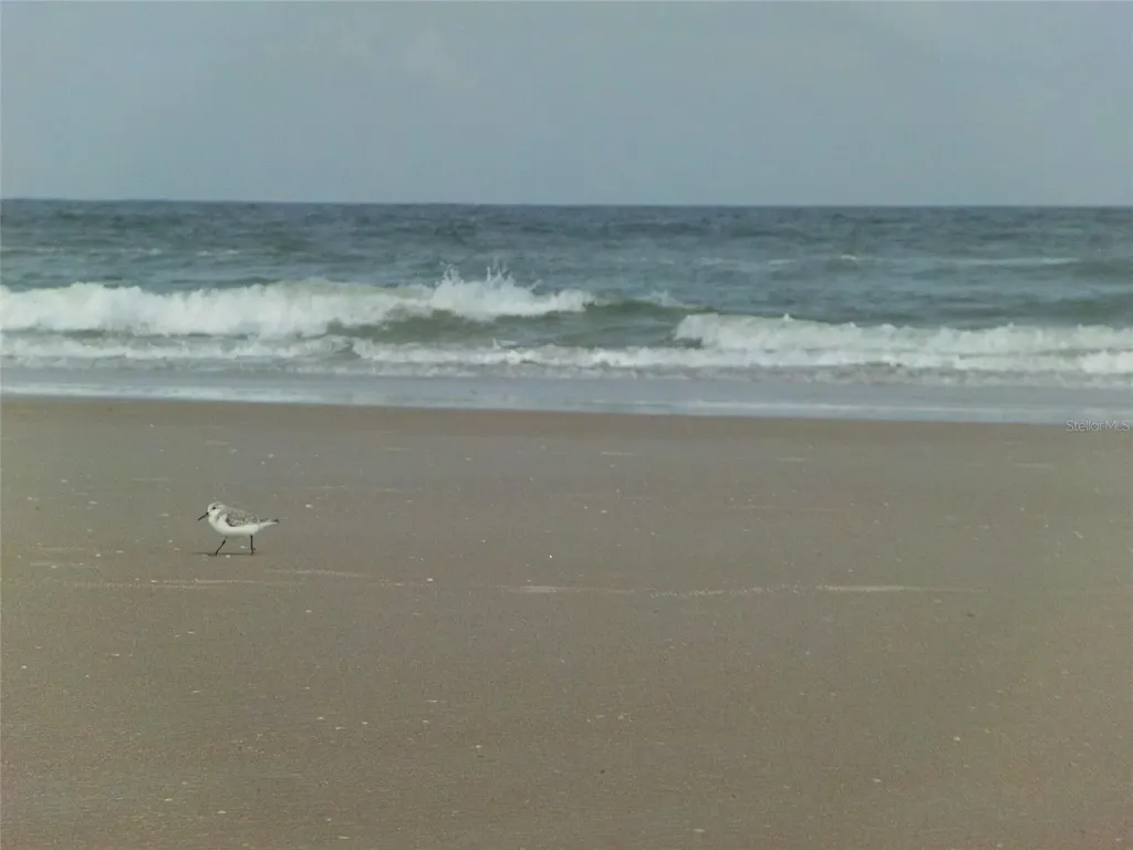 4262 Cardinal Boulevard Port Orange FL 32127