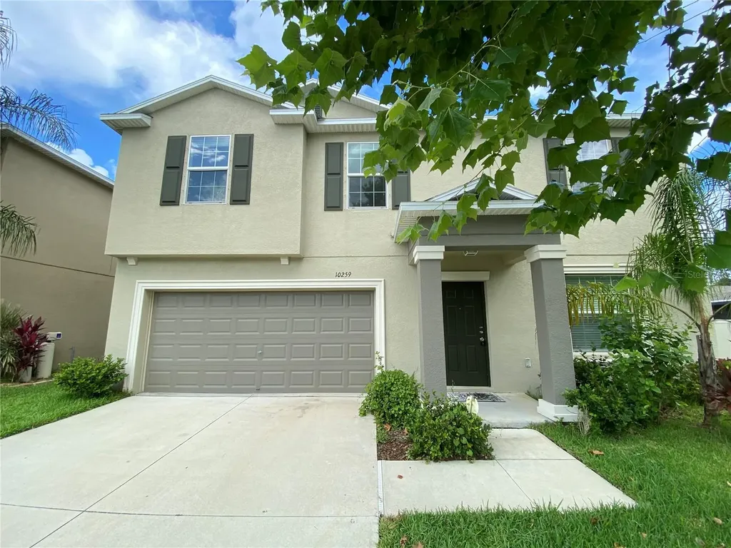 10259 Strawberry Tetra Drive Riverview FL 33578