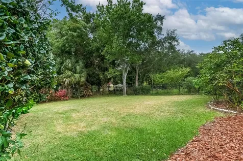 11517 Meridian Point Drive Tampa FL 33626