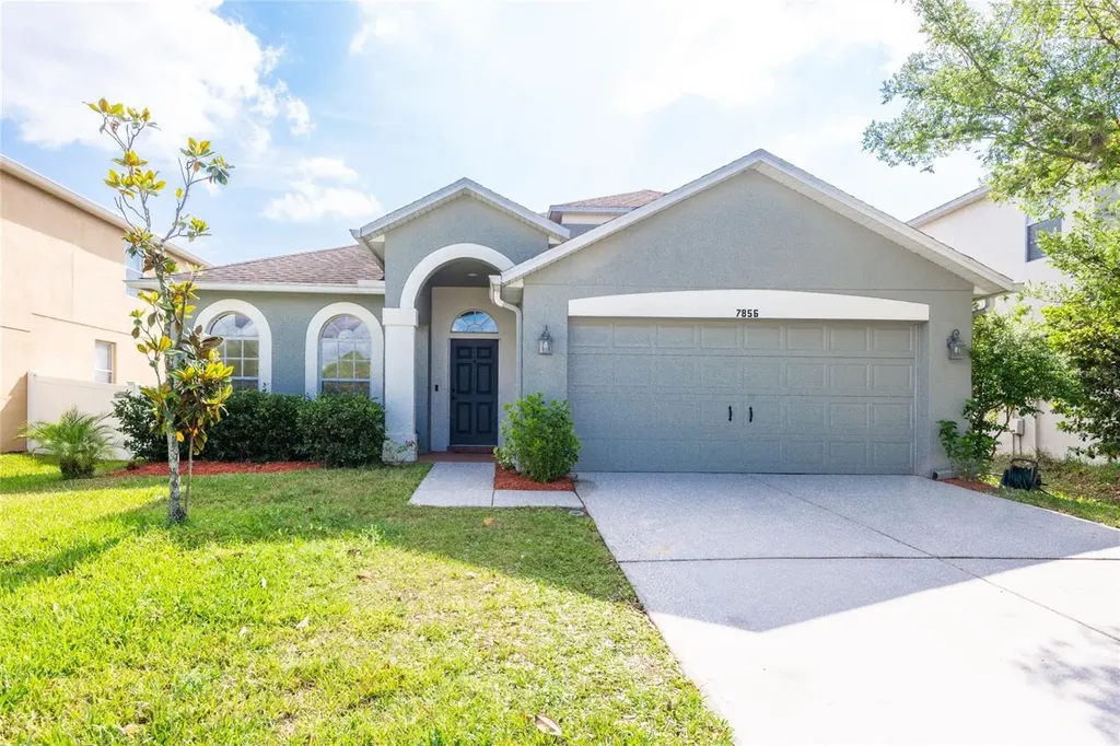 7856 Atwood Drive Wesley Chapel FL 33545