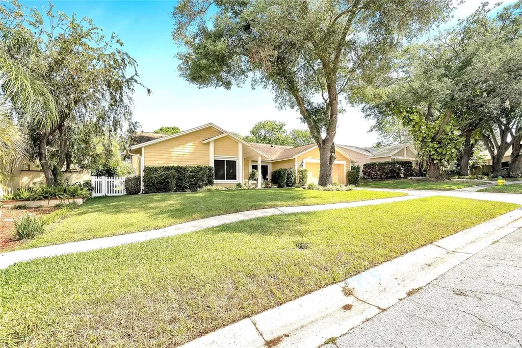 2510 Brimhollow Drive Valrico FL 33596