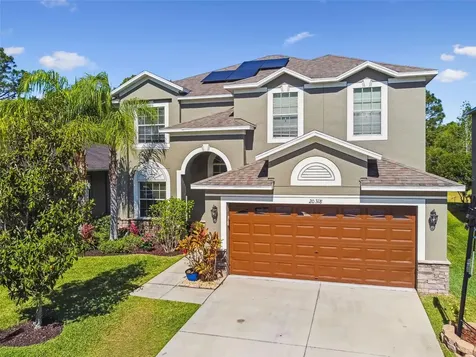 20318 Autumn Fern Avenue Tampa FL 33647