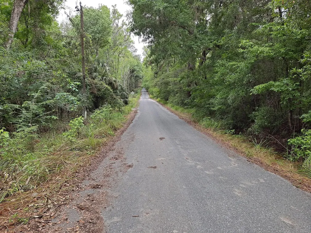 9550 NW 230 Street E Micanopy FL 32667