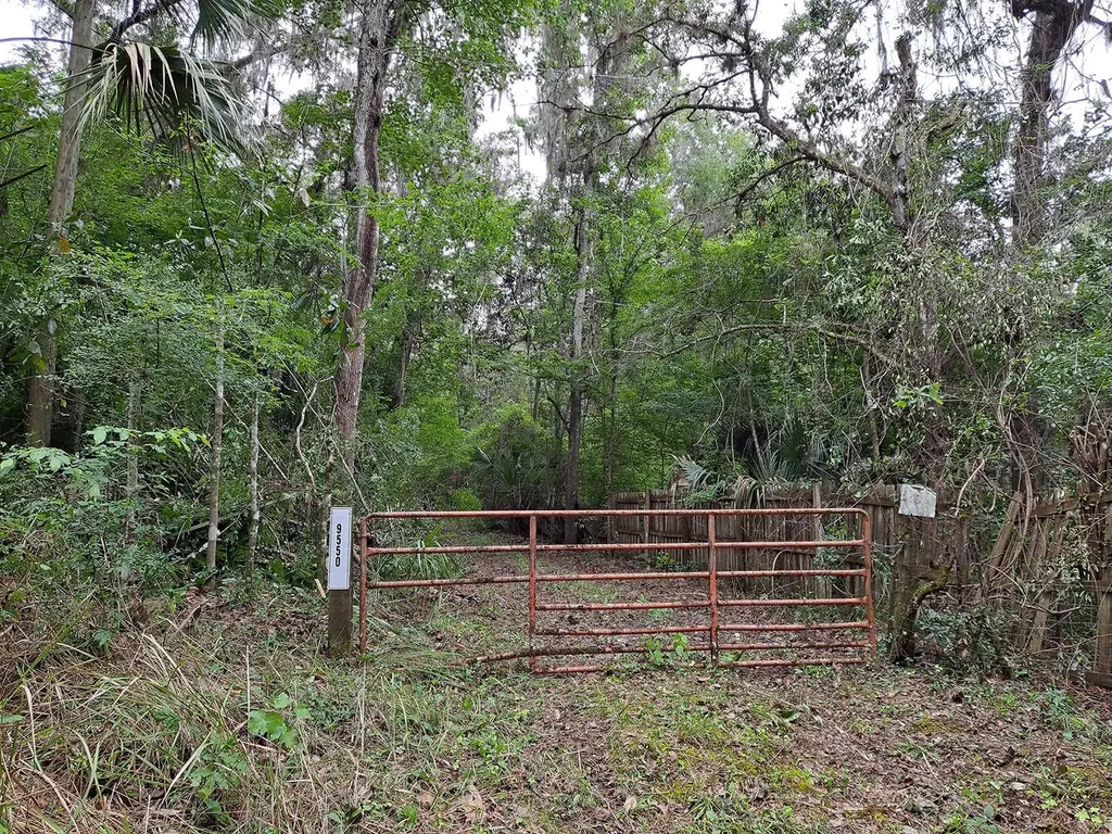 9550 NW 230 Street E Micanopy FL 32667