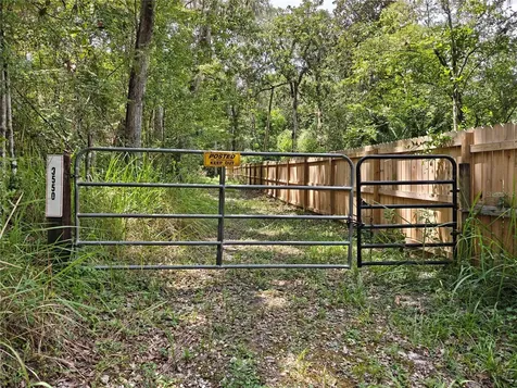 9550 NW 230 Street E Micanopy FL 32667