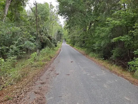 9550 NW 230 Street E Micanopy FL 32667