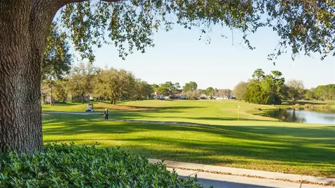 5309 Leather Saddle Lane Spring Hill FL 34609