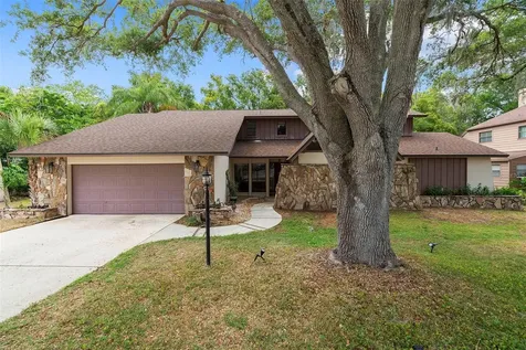 2434 Indian Oak Court Palm Harbor FL 34683