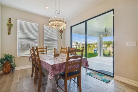 28611 Bel Verde Court Wesley Chapel FL 33543
