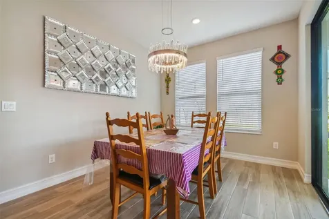 28611 Bel Verde Court Wesley Chapel FL 33543