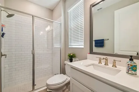 28611 Bel Verde Court Wesley Chapel FL 33543