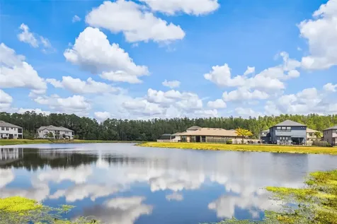 28611 Bel Verde Court Wesley Chapel FL 33543