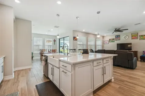 28611 Bel Verde Court Wesley Chapel FL 33543