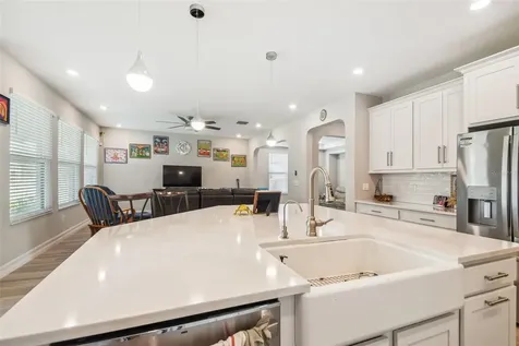 28611 Bel Verde Court Wesley Chapel FL 33543