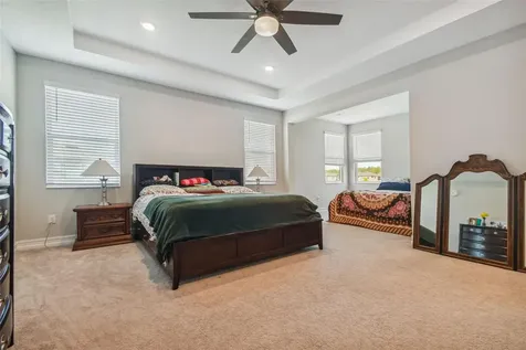 28611 Bel Verde Court Wesley Chapel FL 33543