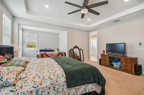 28611 Bel Verde Court Wesley Chapel FL 33543