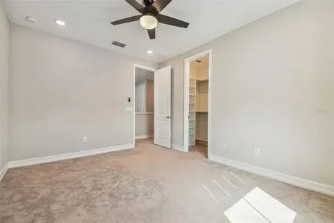 28611 Bel Verde Court Wesley Chapel FL 33543