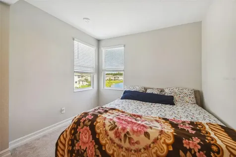 28611 Bel Verde Court Wesley Chapel FL 33543