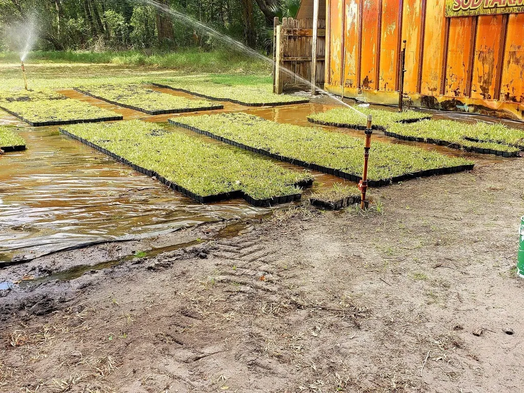 8751 Ridge Road New Port Richey FL 34654