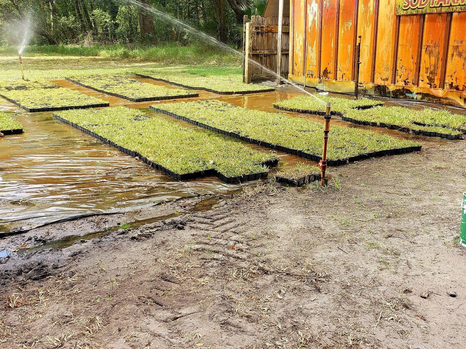 8751 Ridge Road New Port Richey FL 34654